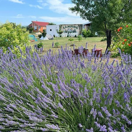 Camping Laste Smokovic Exterior foto