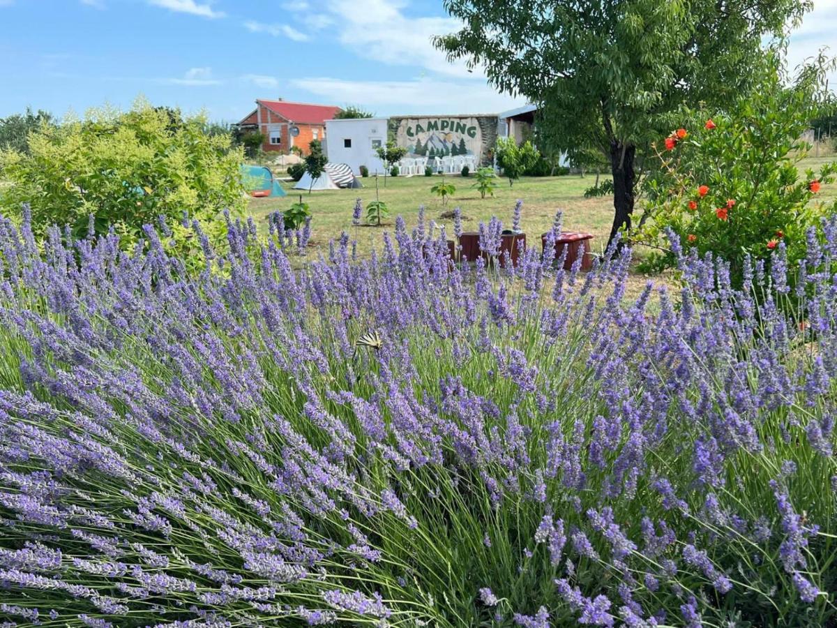 Camping Laste Smokovic Exterior foto